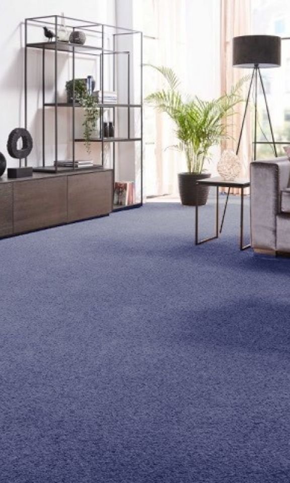 Wall to Wall Carpets for room
